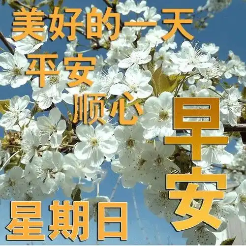 温馨祝福表情包早晨问候新的早晨祝福语图片动图