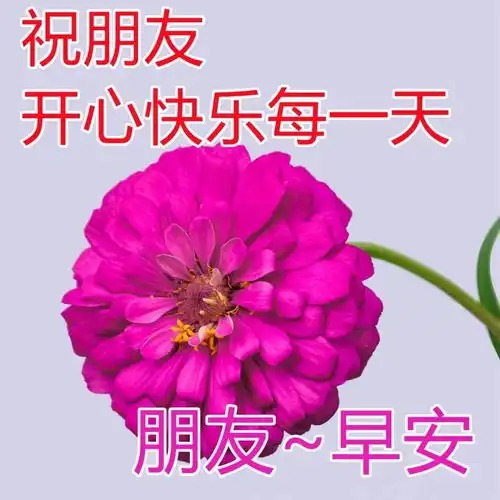 很漂亮的早上好祝福图片最新早上好的祝福图片大全