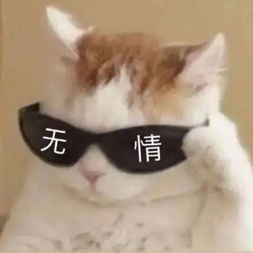 最令人窒息的网课社死现场哈哈哈哈哈,笑死了