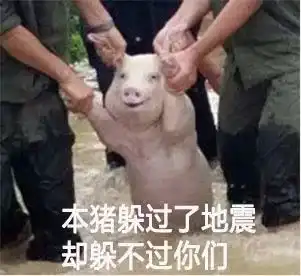 2017年度表情包大赏小猪佩奇,假笑boy,边缘试探.你最爱
