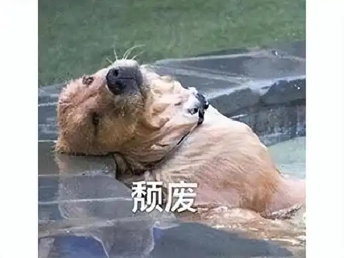 剑灵台服外挂成标配,不开挂反被吐槽,卷到工作室都卷不动