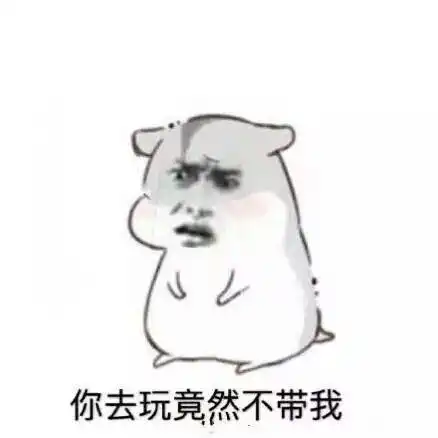 意境美图同人动物键盘壁纸大海搞笑g堆糖,美好生活研究所