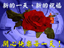 清晨早上好祝福语温馨加早安问候图片
