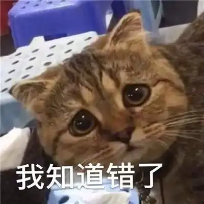道歉专用表情包让别人马上原谅你