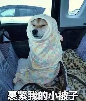 大寒,最冷的冬天已经来临,下周连下5天雪,郑州人挺住搜狐文化搜狐网