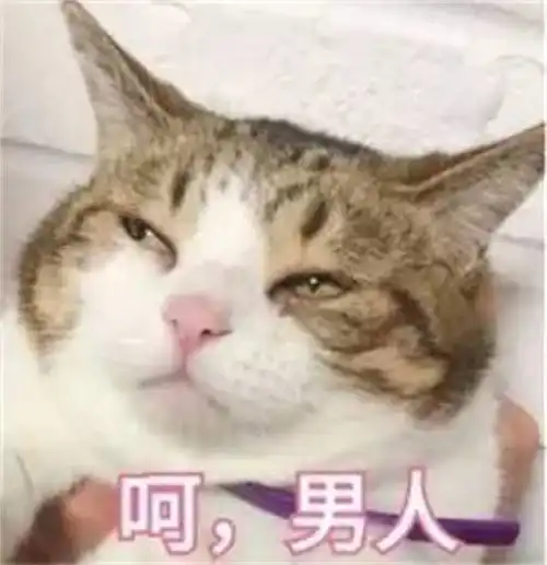 用料到底几何ganssgs87d拆解