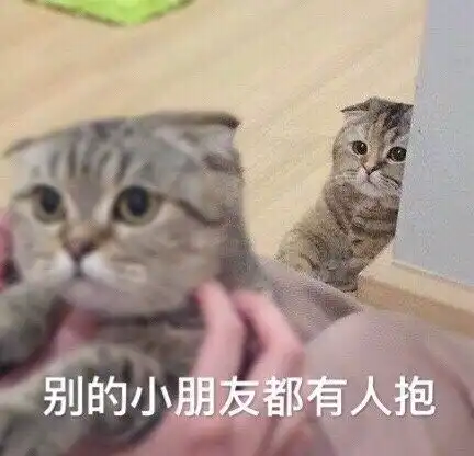 表情包来自单身狗的呐喊