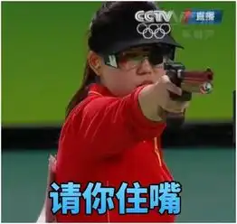 表情包被称中国第五大发明网友用其反击霍顿