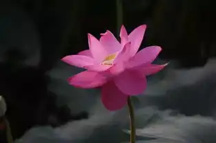 净月潭它如诗如画,令人如此着迷