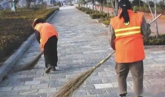 养了三年的狗狗最近总伤人,遭遇这样的烦心事赵大姐左右为难