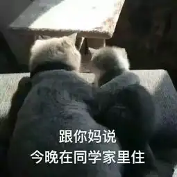 斗图表情包合集斗图没有这些表情包,还斗个锤子