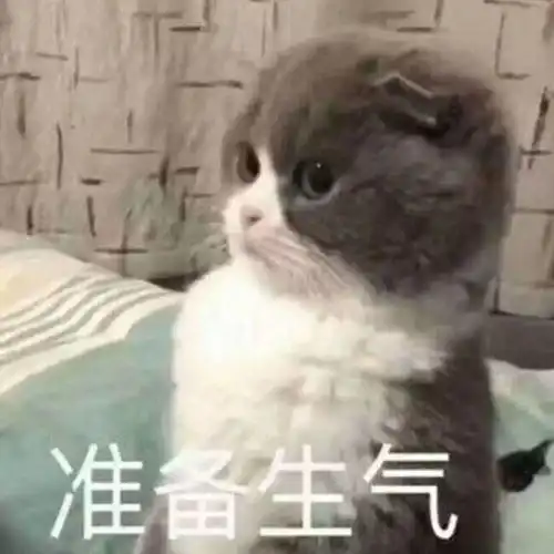 你们是我带过最差的一届父母