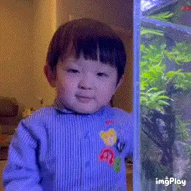 汤圆系列表情包