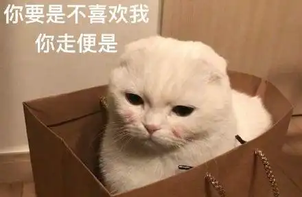 养了只猫咪男友说不喜欢,下班回来看到这个画面,我嫉妒了