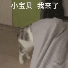 瑟提大招机制优化选秀卡棋子的玩法再见云顶之弈10.25正式版本改动数据介绍