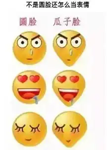 圆脸对比瓜子脸表情高清无水印