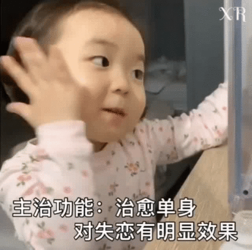 表情包女朋友使用说明书表情包