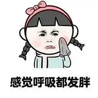 死胖子表情包