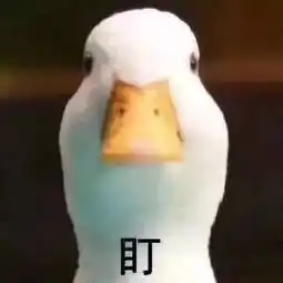 天真憨的宝藏男孩们也太有爱了