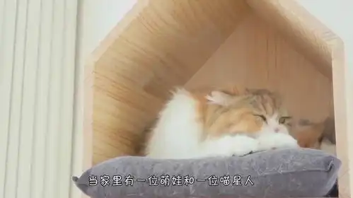 1岁萌娃生气不搭理猫咪,下一秒猫的举动,爸妈快笑岔气了
