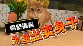 小猫咪奇奇怪怪的睡姿背后,蒜哥的快乐你想象不到