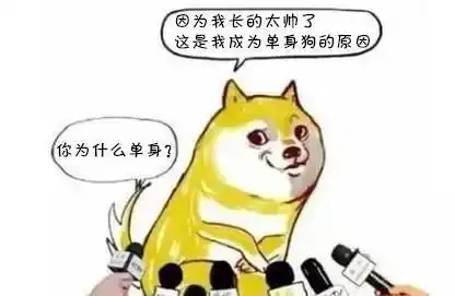 我爱你,我爱我,那些爱与被爱的瞬间