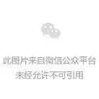 乙巳年新春暖心包远跨山海为海外侨胞送去春节祝福和家乡牵挂