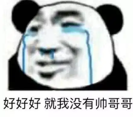 日常搞笑熊猫头表情包