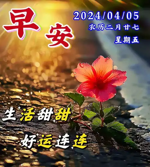 2024年4月5日星期五早安温馨祝福图片,暖心的问候祝福语大全周五愉快幸福快乐早安清晨甜蜜祝福手机网易网