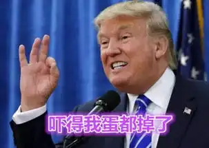 美国大选,表情包火了
