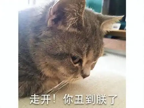 育碧耗资千万美元的大作,主角还没什么人气,一只猫先火出圈了