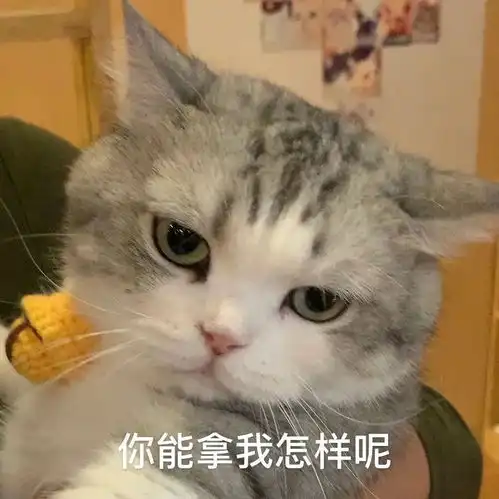 有没有比较可爱的表情包