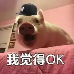 中国有嘻哈张震岳我觉得不行表情包蹿红