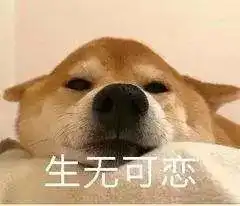 震惊加拿大鹅双十一1小时成交额上千万却损失1.3亿原因竟是...