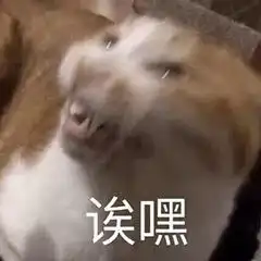 近期沙雕图