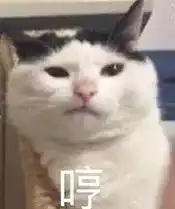 喝海水去黑头脑子被门挤了