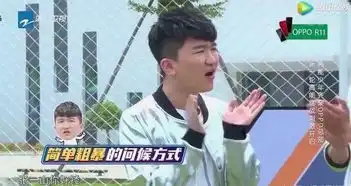 杨幂也保不住张大大,惹王宝强生气,就连何炅也看不下去了