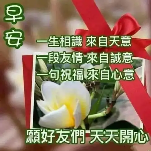 早晨漂亮的早上好问候语动态表情,非常暖心的早安祝福语录送你