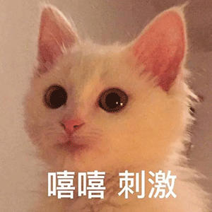 天气别洗车沙尘中雨天津马上来一波冷空气