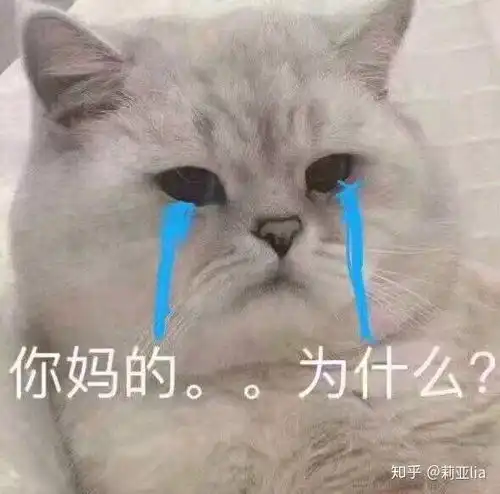 想问问网恋真的靠谱嘛就是看见经常有网恋的朋友啊同学啊有点好奇