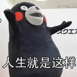 成功在于过程,不在于结果