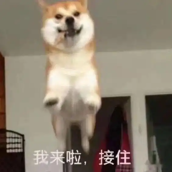 惊大寒时节暖如春明日雨水来袭