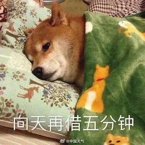 梅州冷冻多日,寒冷何时了你是起床困难户吗...