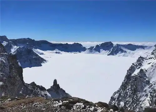 傅园慧旅游包车被勒索发动态求助,网友不识世界冠军要付出代价