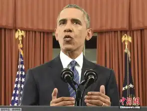 美报告is有签发叙护照能力成员或已潜入美国