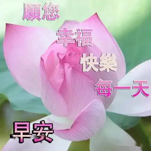 生活其实很简单,就在当下修行其实也很简单,就在身边,早安