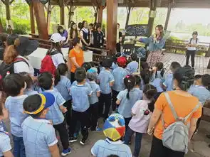 让心灵插上优雅的翅膀keylight全脑教育西安福田教学示范基地福田万科幼儿园pbl户外美育主题活动