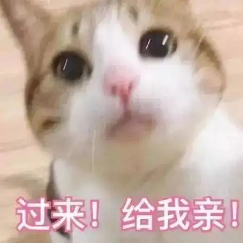 你的睡美猫,需要一个亲亲才能醒过来王子你什么时候来救我呢