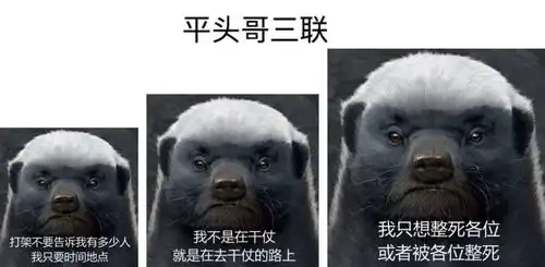 大连蛇岛有20000条蛇,放两只蜜獾上去,大概多久能吃完