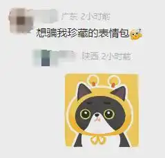 微信新功能上线网友多年珍藏用上了